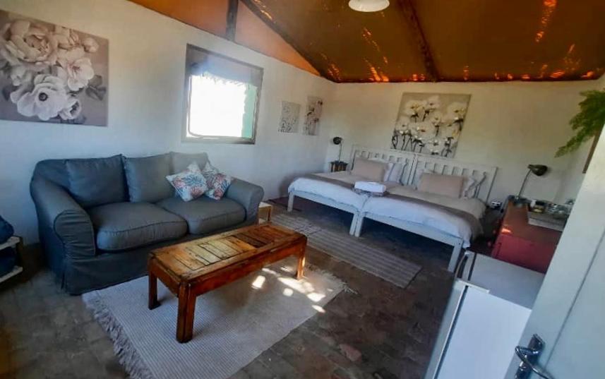Daureb Isib Campsite And B&B Uis Екстер'єр фото